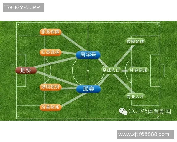 中国足球职业化进程回顾与未来发展展望分析